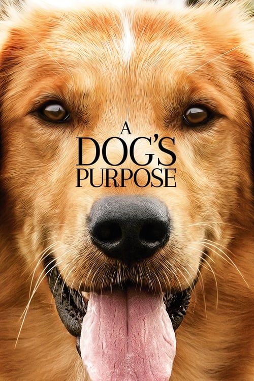 دانلود فیلم A Dog s Purpose – هدف یک سگ